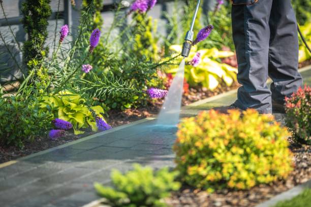 Best Commercial Pressure Washing in Freeport, FL